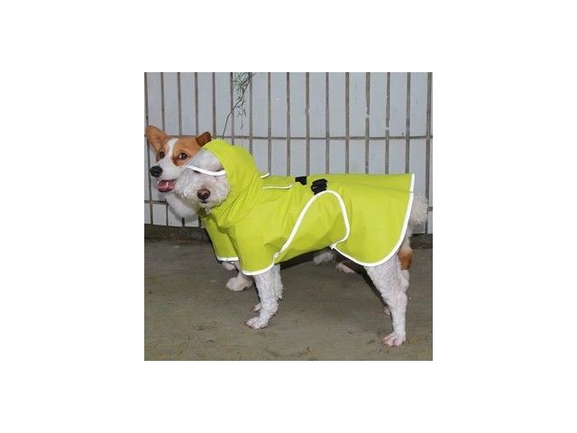 대형견노란우비 추천 한정특가 & 인기 상품 총정리